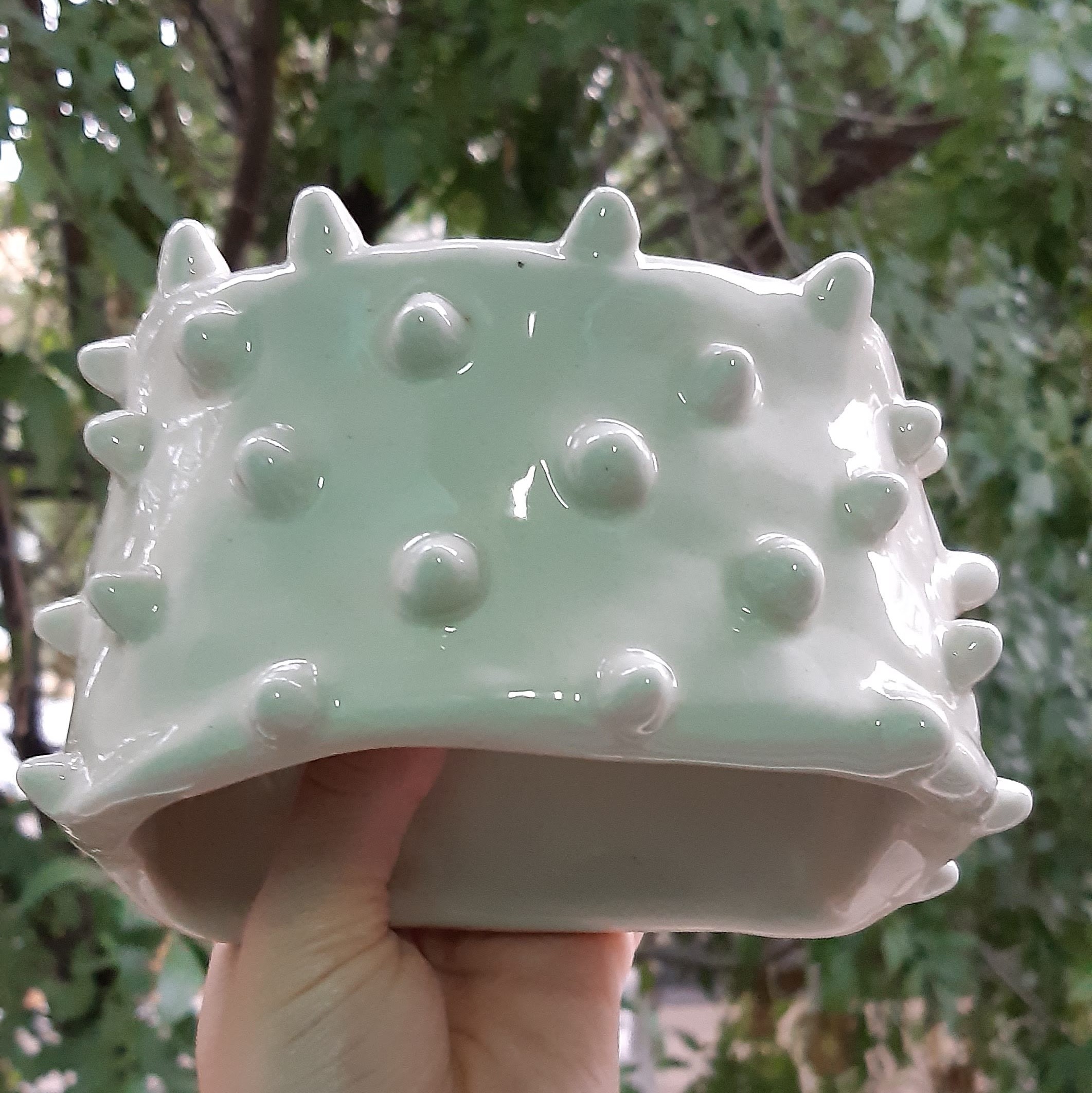 Jabonera / Porta esponja con pinches