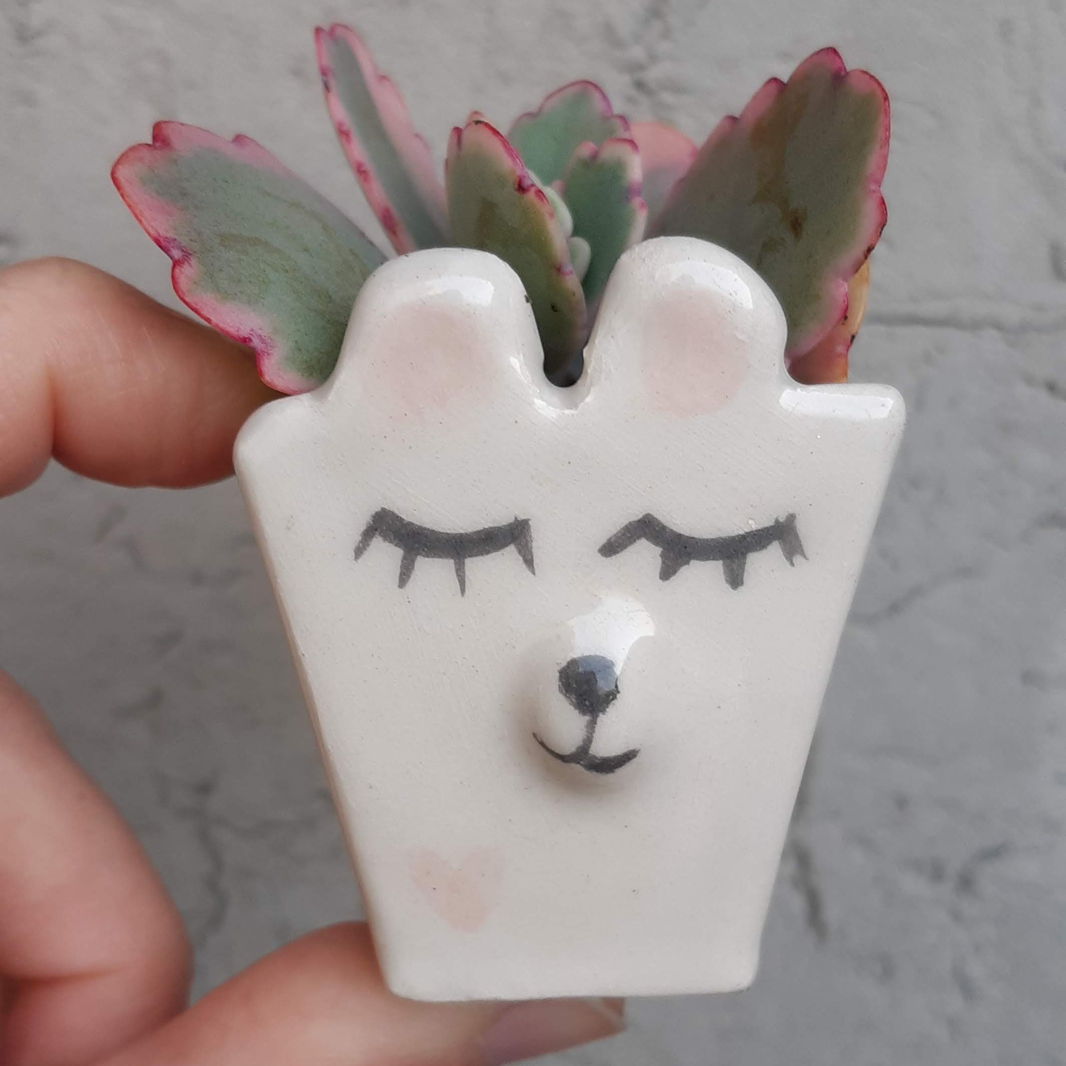 Mini Maceta