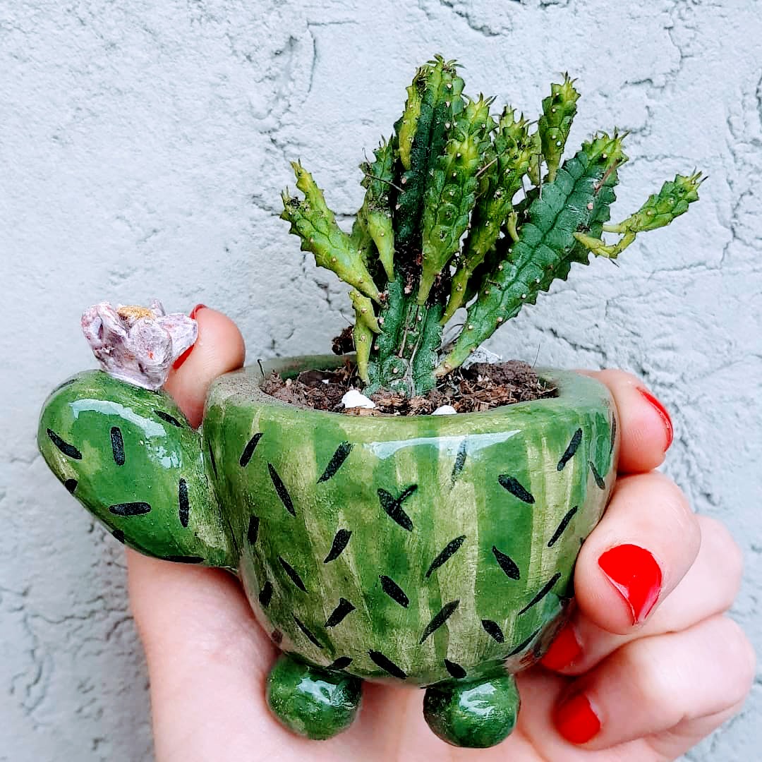 Maceta Cactus