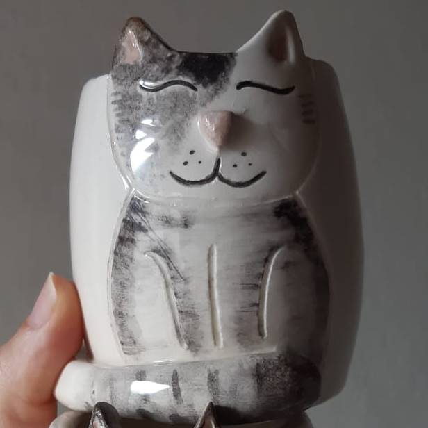 Mate con diseño